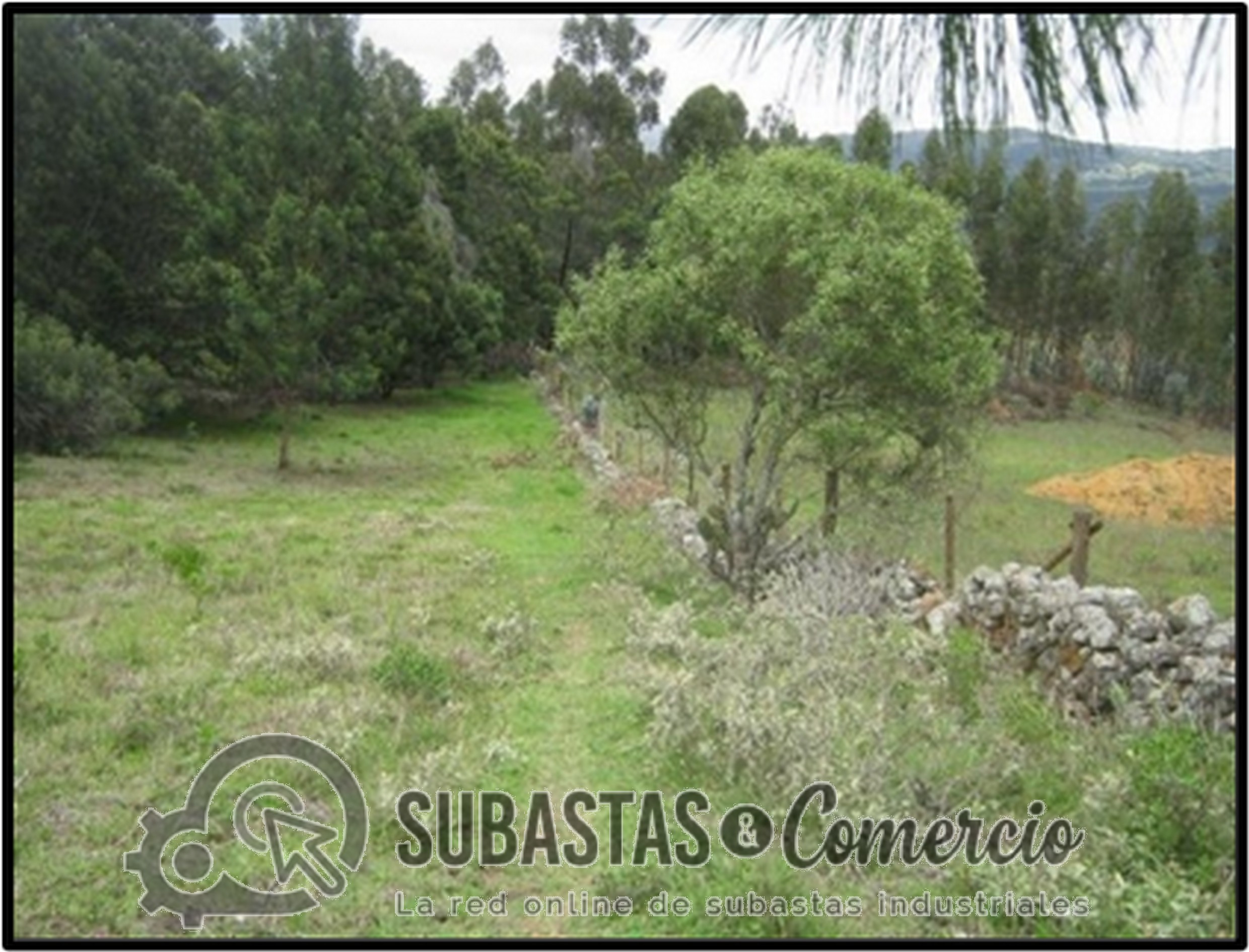 Predio La Llanada, terreno y construccin 19.627m 