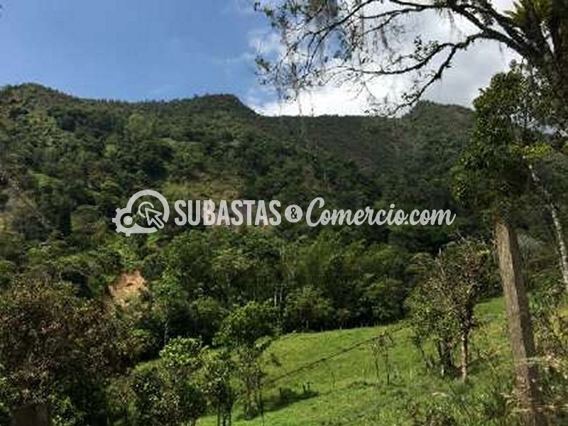 01-Terreno Supatá 67.843,69 M²