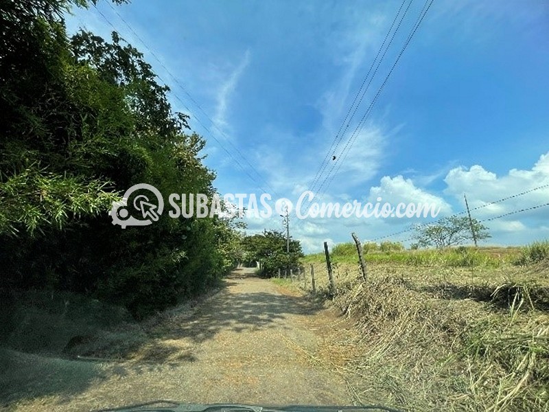 05-Lote Área 4.209 M² Ubicado En El Cerro De Los Cristales Corregimiento Los Andes Vereda Mameyal  