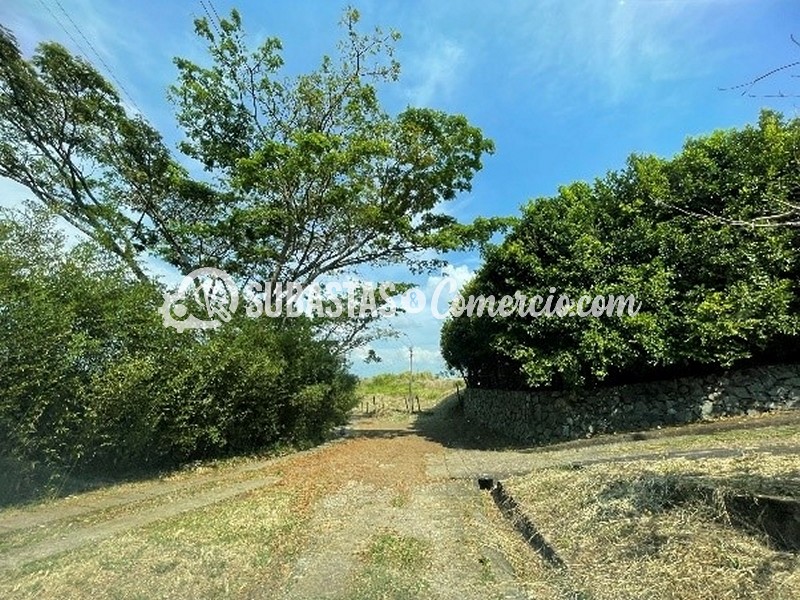 06-Lote Área 4.434 M² Ubicado En El Cerro De Los Cristales Corregimiento Los Andes Vereda Mameyal  