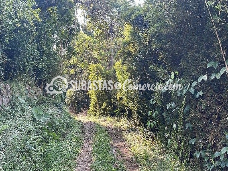 07-Lote Área 1.370 M² Ubicado En El Cerro De Los Cristales Corregimiento Los Andes Vereda Mameyal  