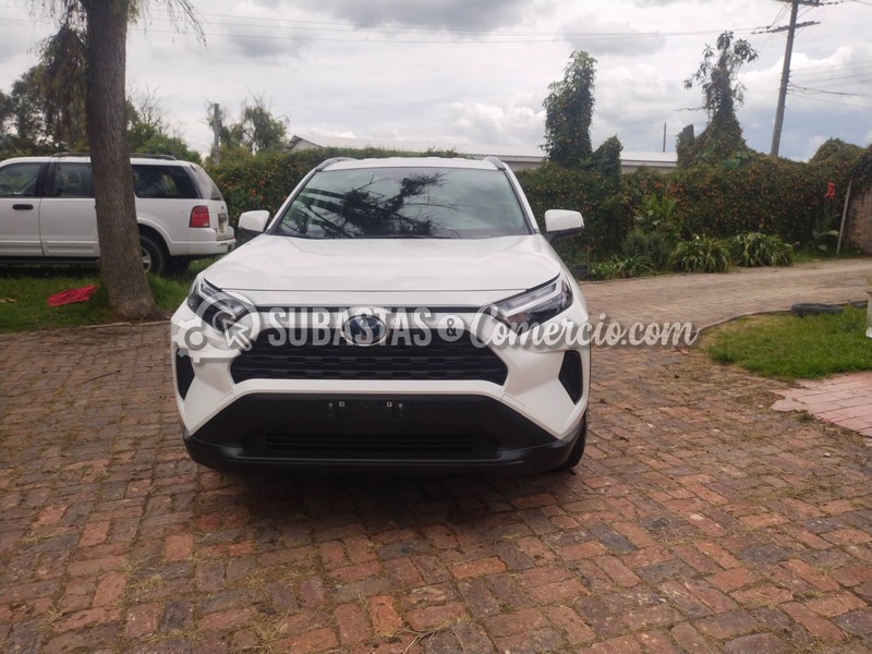 Toyota RAV4 Hybrid Placa. OVP093