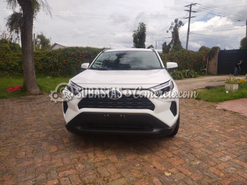 Toyota RAV4 Hybrid Placa. OVP094