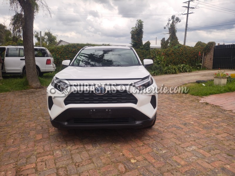 Toyota RAV4 Hybrid Placa. OVP102