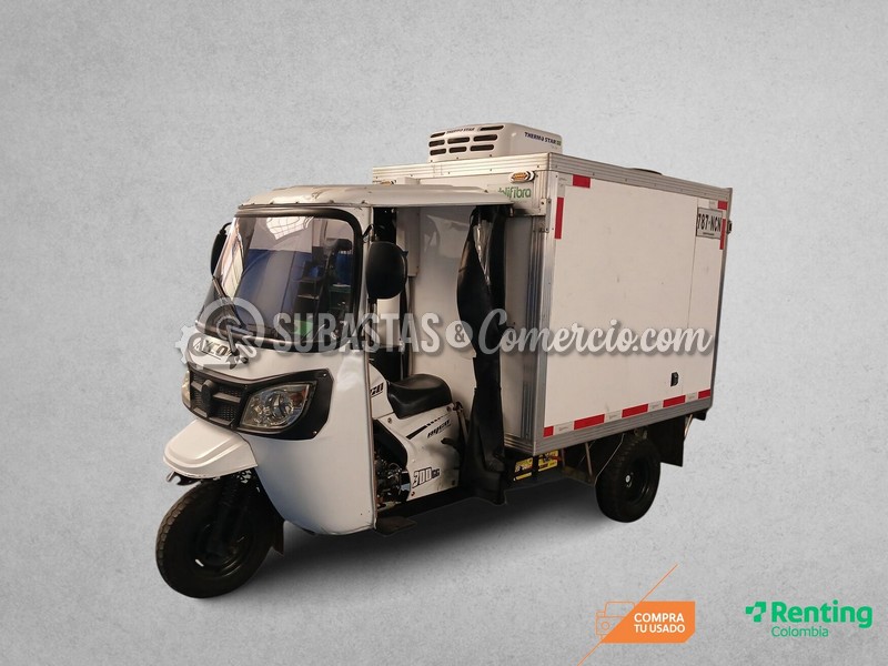 Ayco Ay300zh MOD.2025 Placa - 787NCN