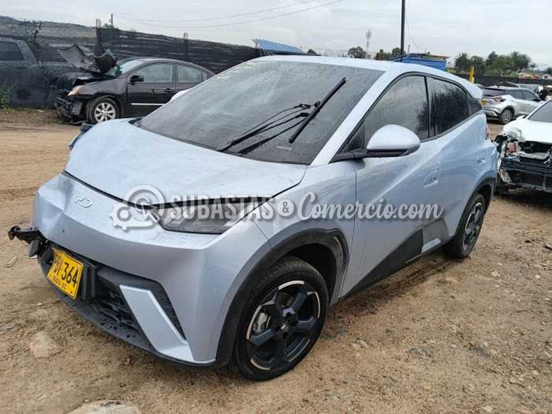 Byd Byd seagull Mod.2025 - Daños Placa - PBV364