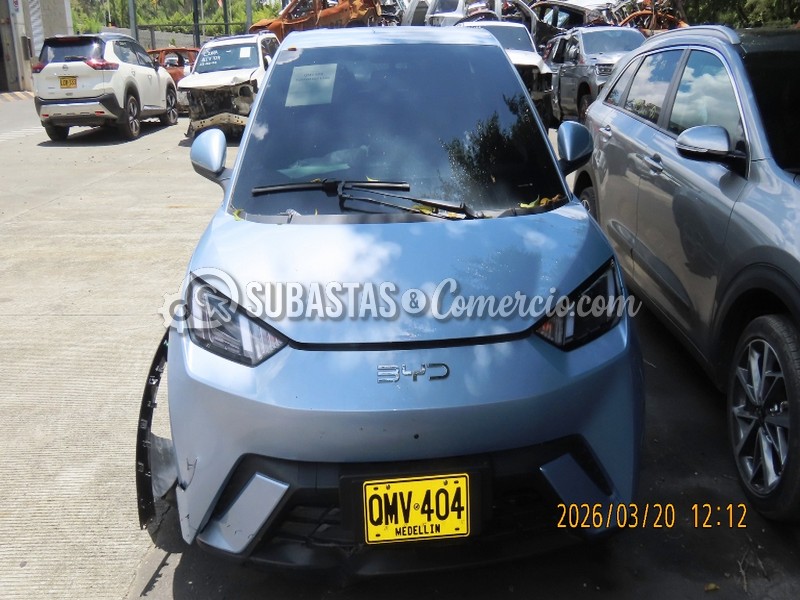 Salvamento Byd Byd seagull - 2026 - 404 - Guarne