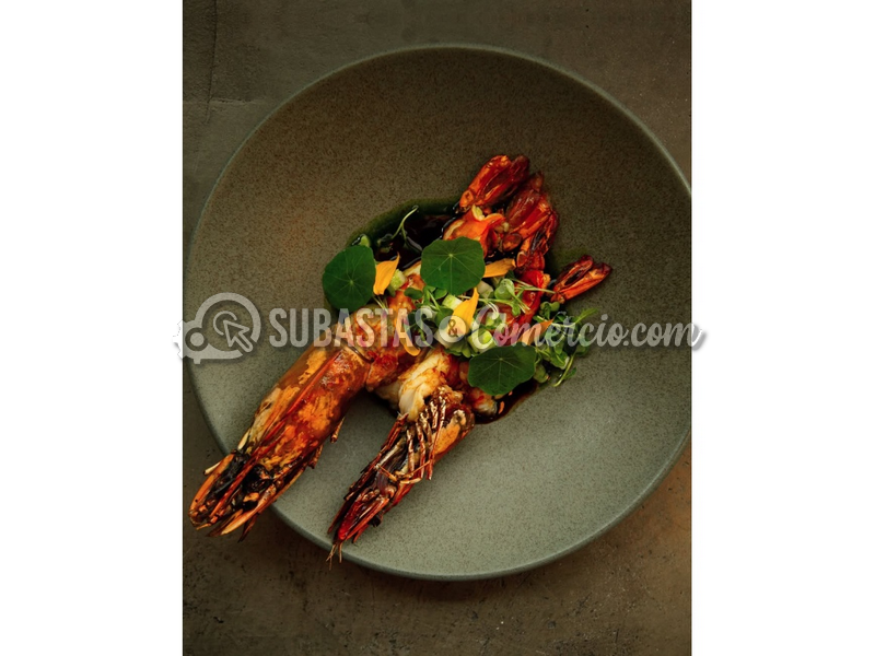 Cenas en TEST Kitchen Lab y El Chato Bistro - Experiencia Gastronómica