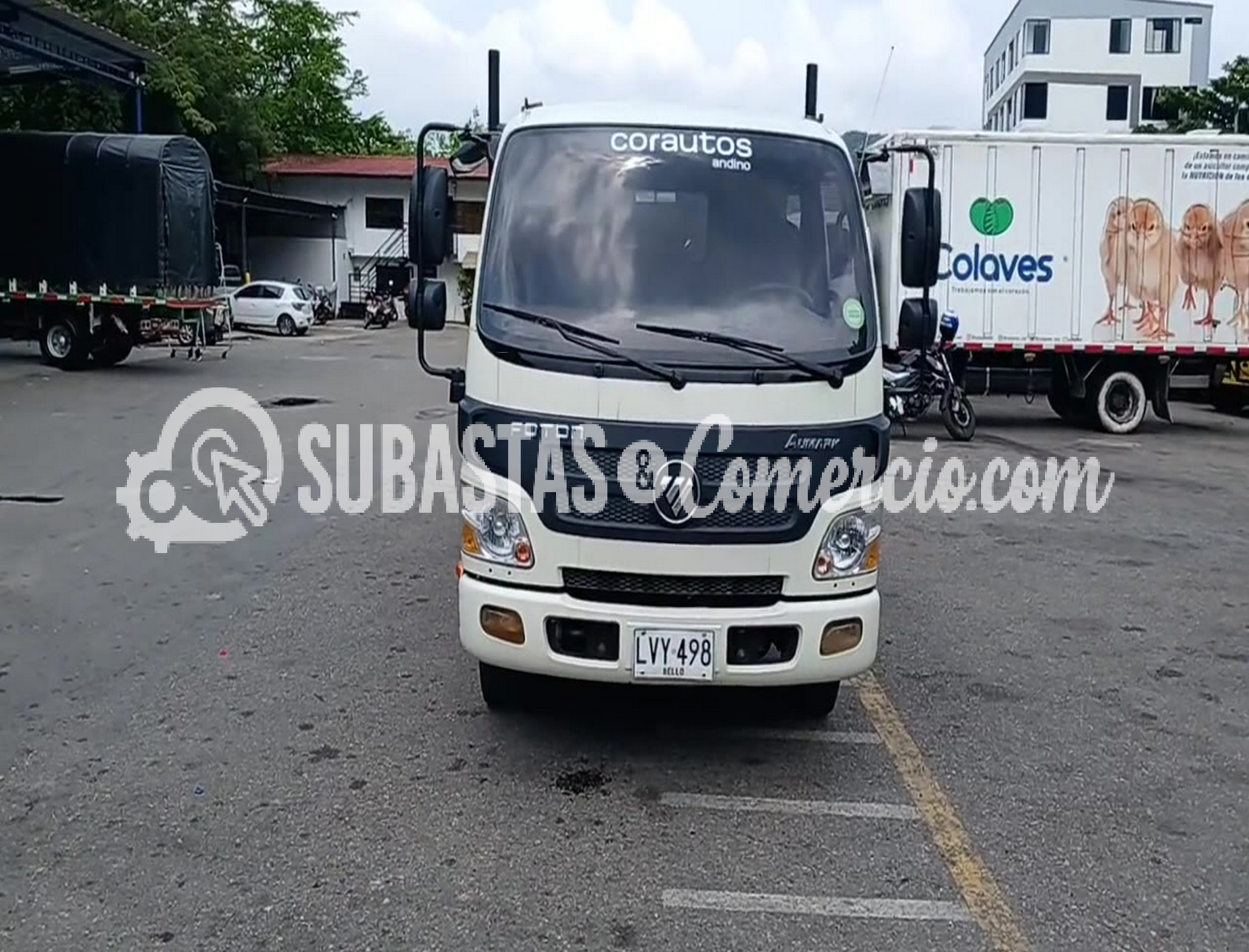 LVY498_3.JPG