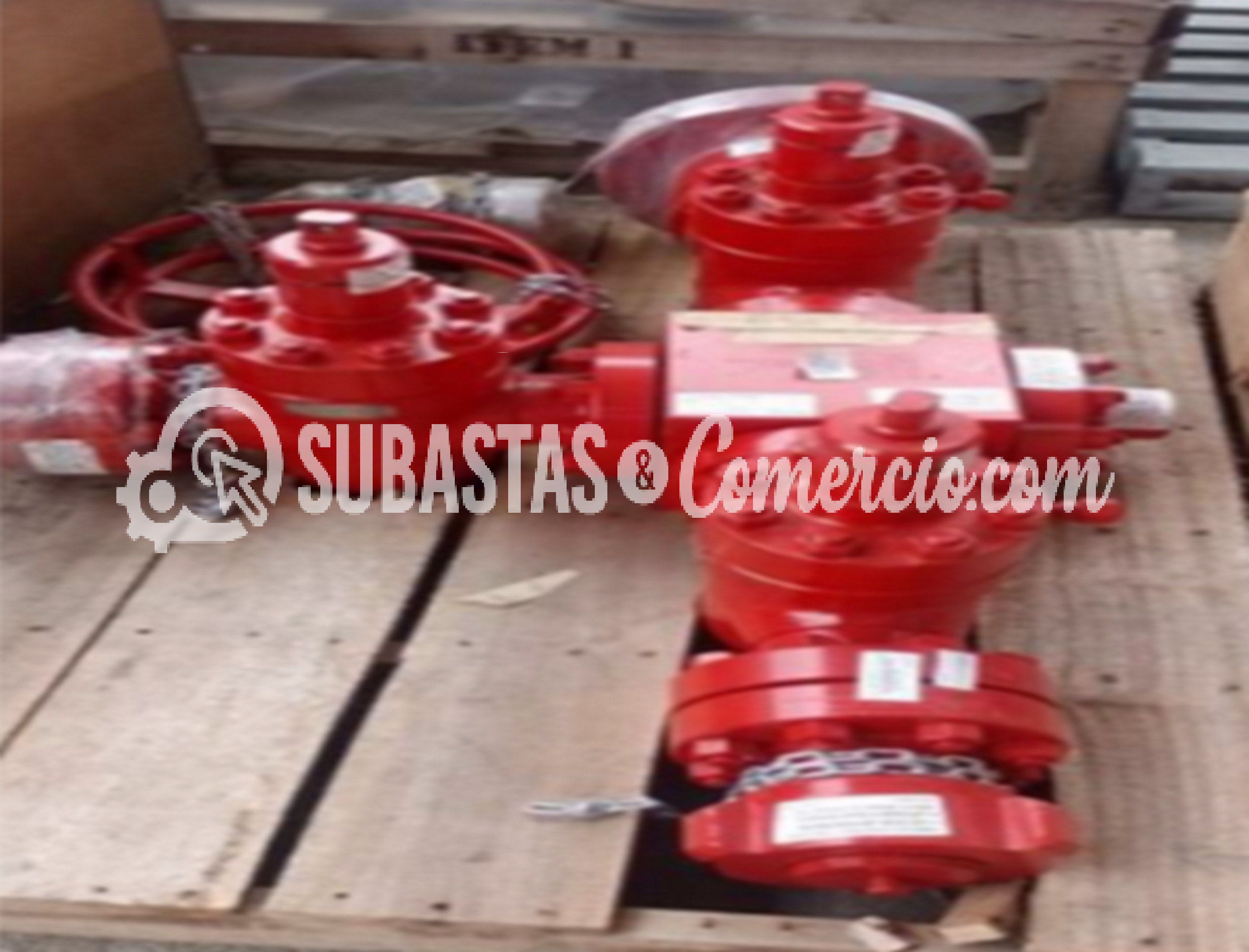 Imagen6.jpg