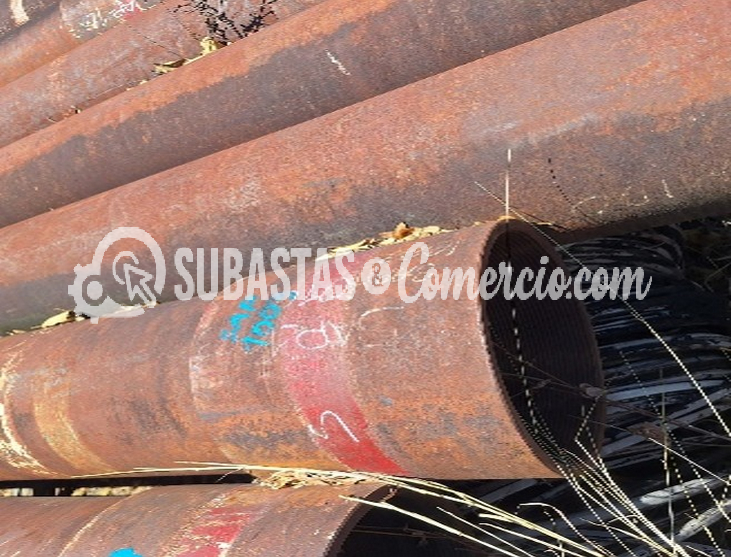 Imagen5.jpg
