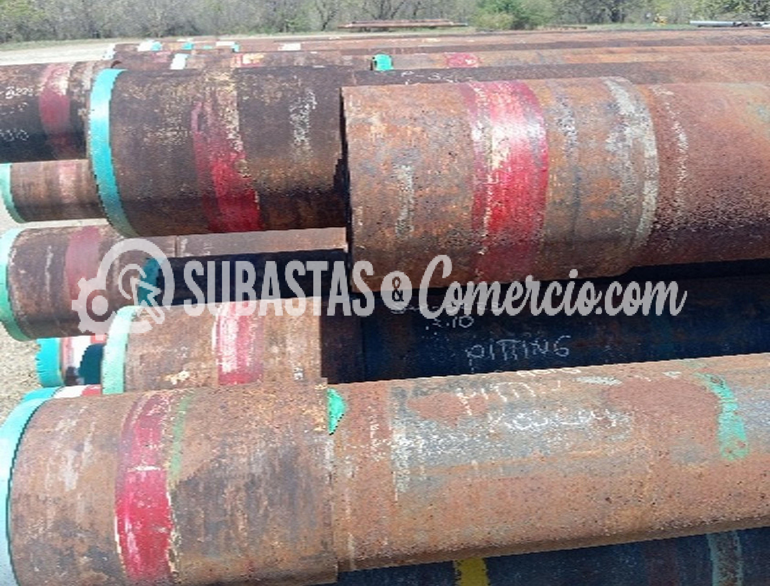 Imagen13.jpg