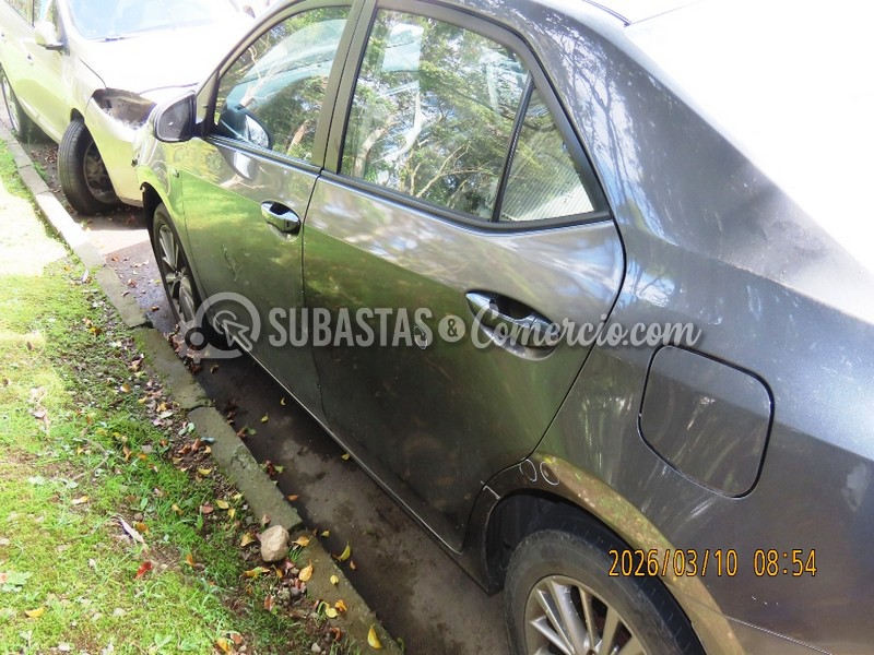 salvamento_toyota_corolla_-_2019_-_802_-_guarne__8_.jpg