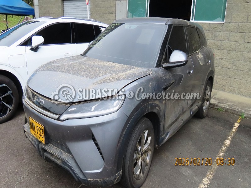 salvamento_byd_byd_yuan_pro_-_2025_-_933_-_guarne__9_.jpg
