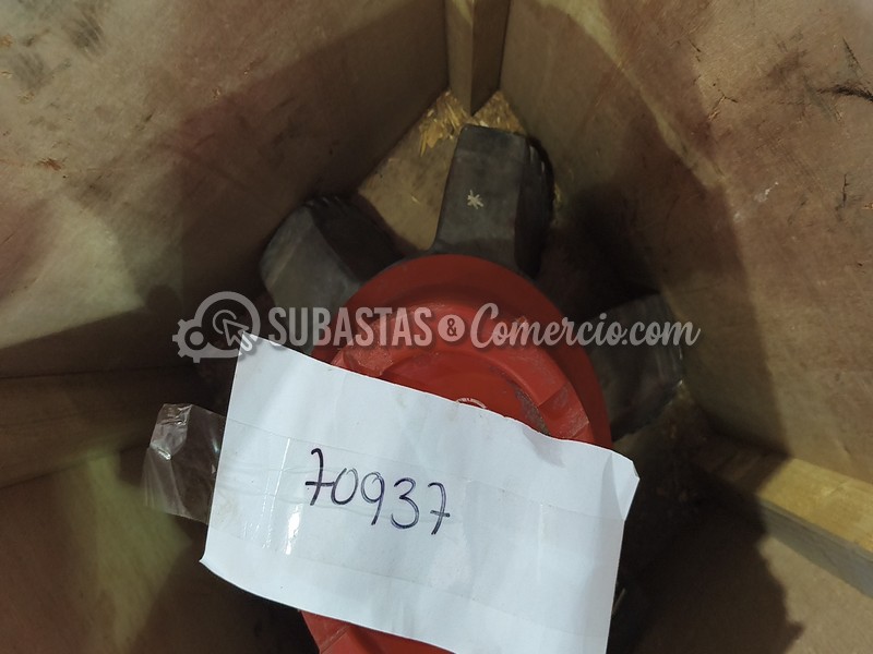 70937-2.jpg