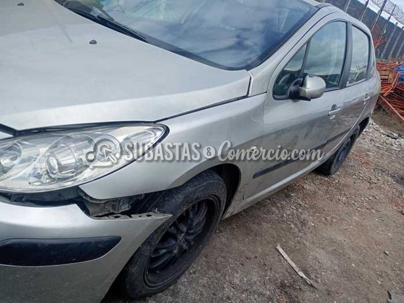 salvamento_peugeot_307_xs_-_2007_-_939_-_mosquera__3_.png