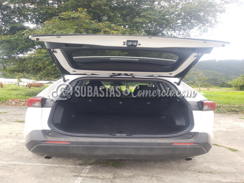 toyota_rav4_hybrid__19_.png