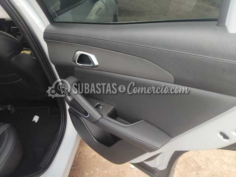 salvamento_byd_byd_yuan_up__20_.png