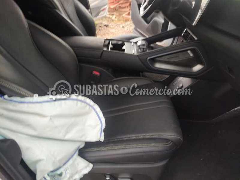 salvamento_byd_byd_yuan_up__26_.png