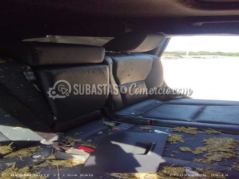 img_20260317_091944_copy_484x1077.png