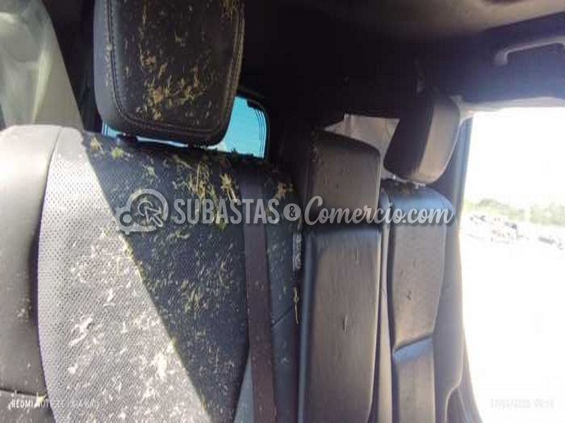 img_20260317_091947_copy_1077x484.png