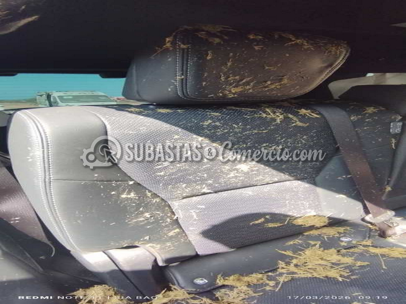 img_20260317_091945_copy_484x1077.png