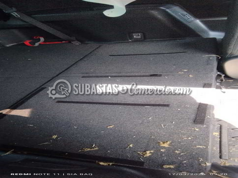 img_20260317_092000_copy_484x1077.png