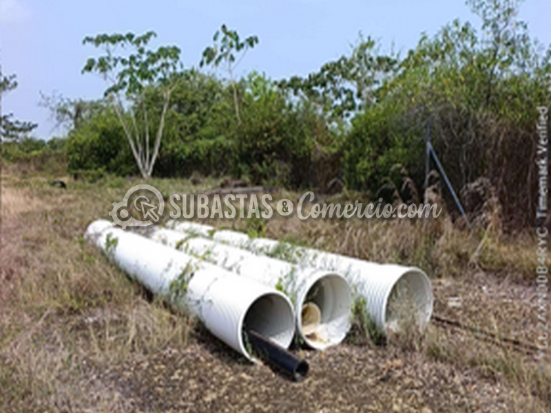 imagen8.png