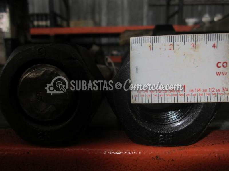 item032_71001708718_foto2.png