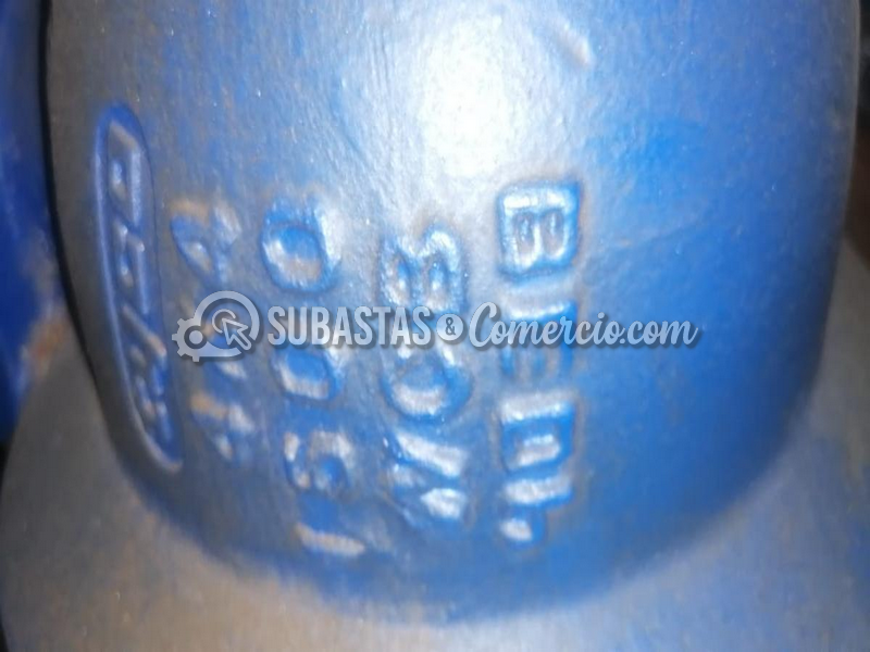 item142_71006163026_foto5.png