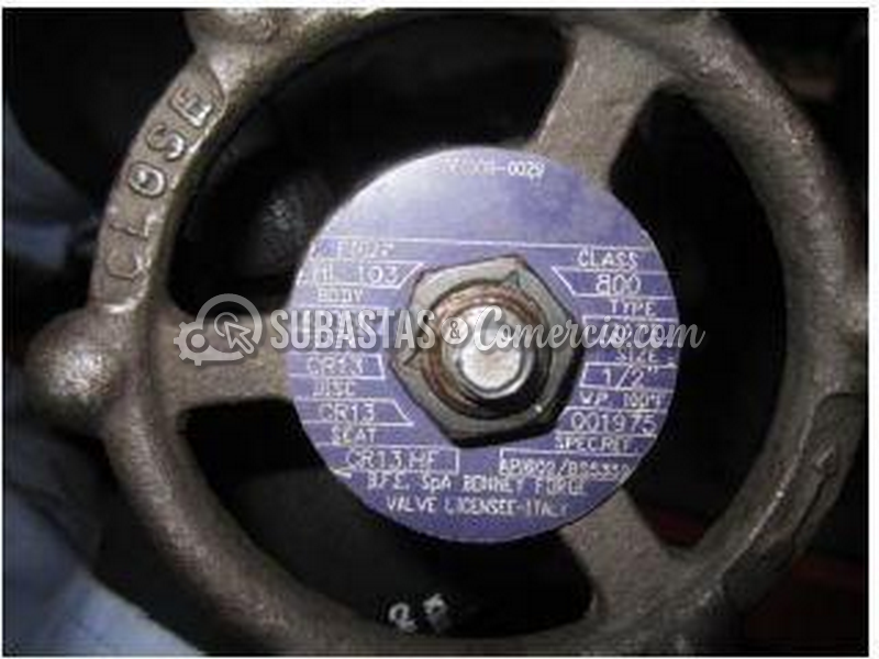 item017_71000580480_foto2.png