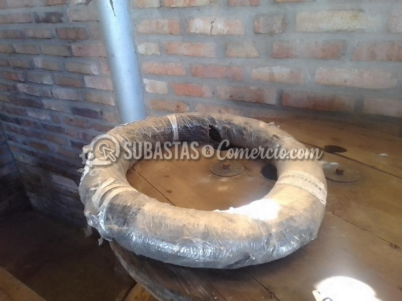item111_71500090210_foto4.png