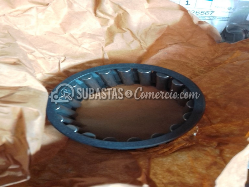 lote1__50_.png