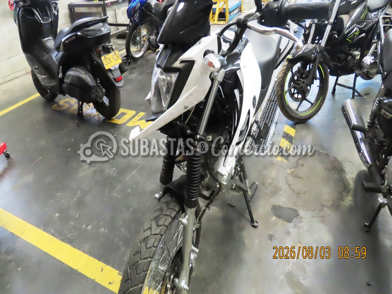 img_6503.png