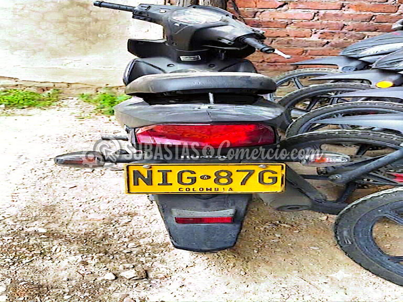 nig87g_08.png