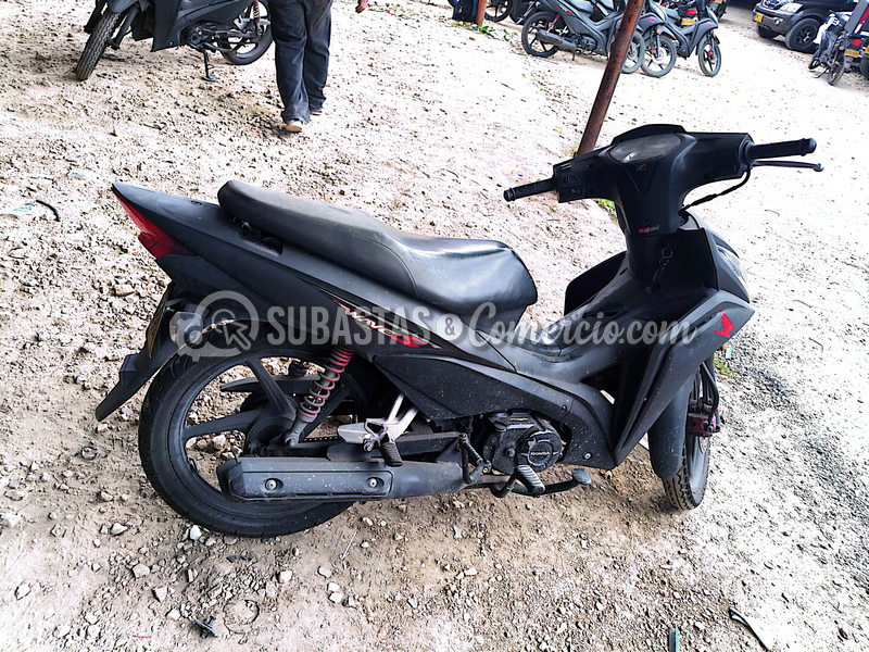 nih09g_06.png