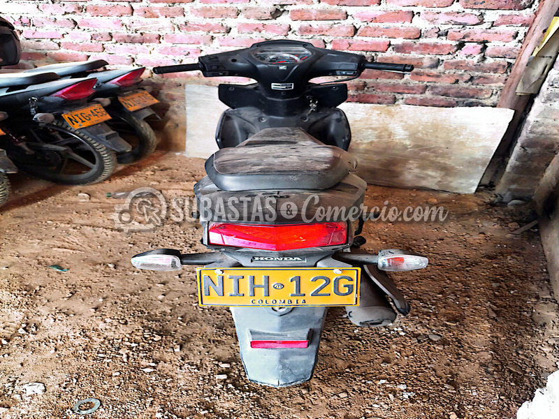 nih12g_04.png