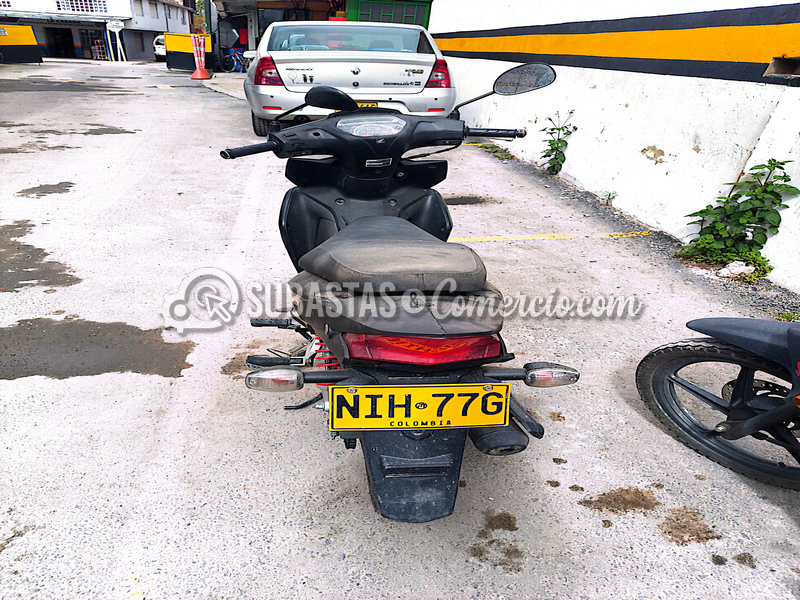 nih77g_04.png