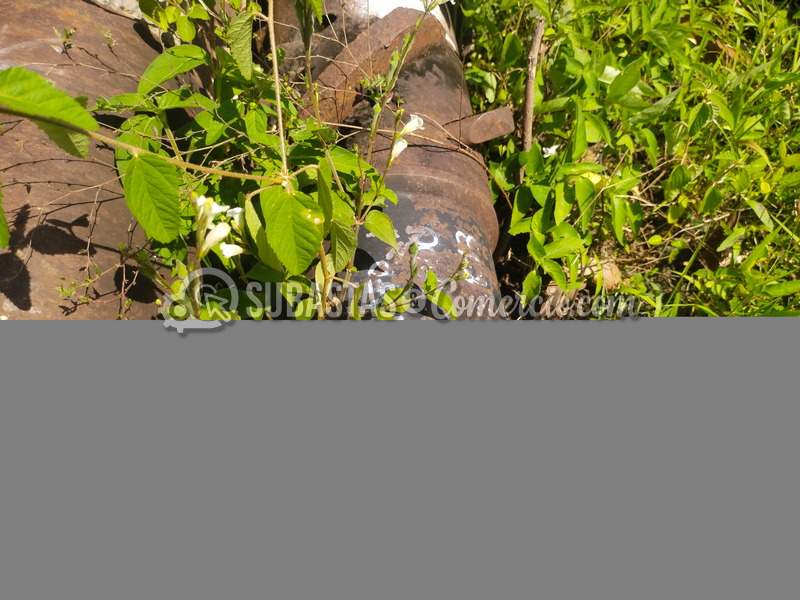 img_20260903_094842.png