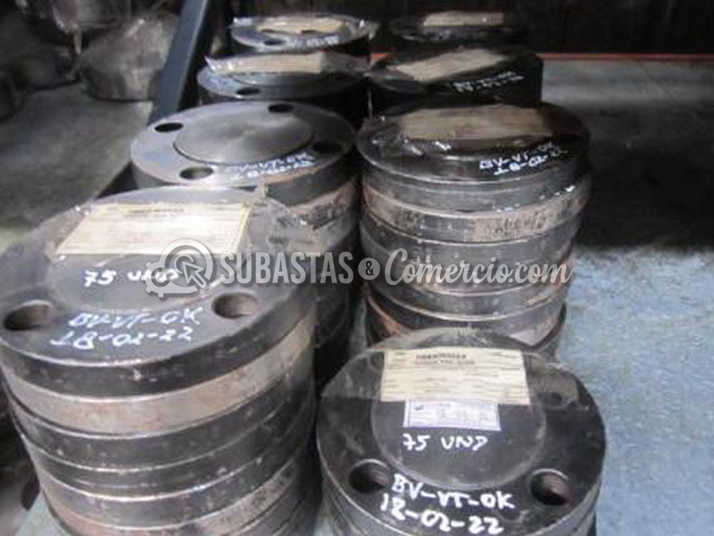 pagina_261_imagen_1.png