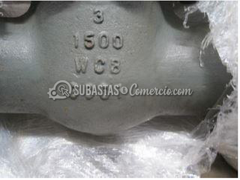 pagina_249_imagen_1.png