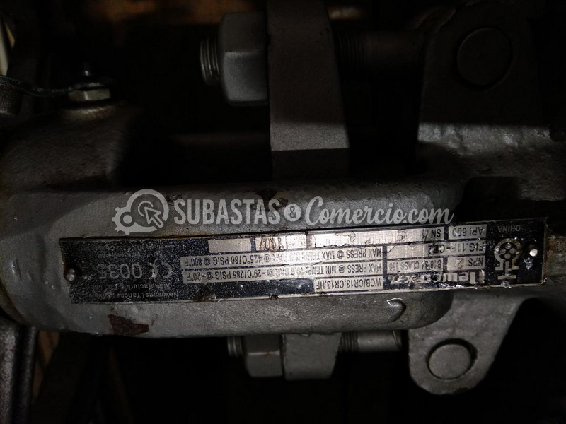 pagina_33_imagen_1.png