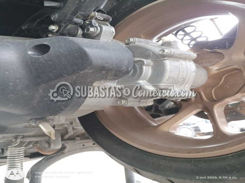 img_20261002_085555974_copy_768x1024.png